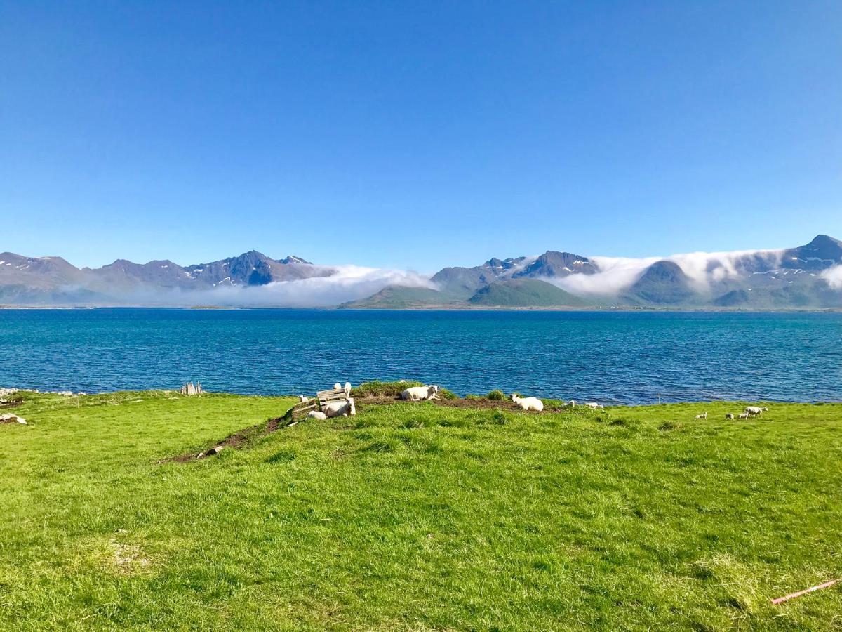 Cozy Lofoten * Leknes